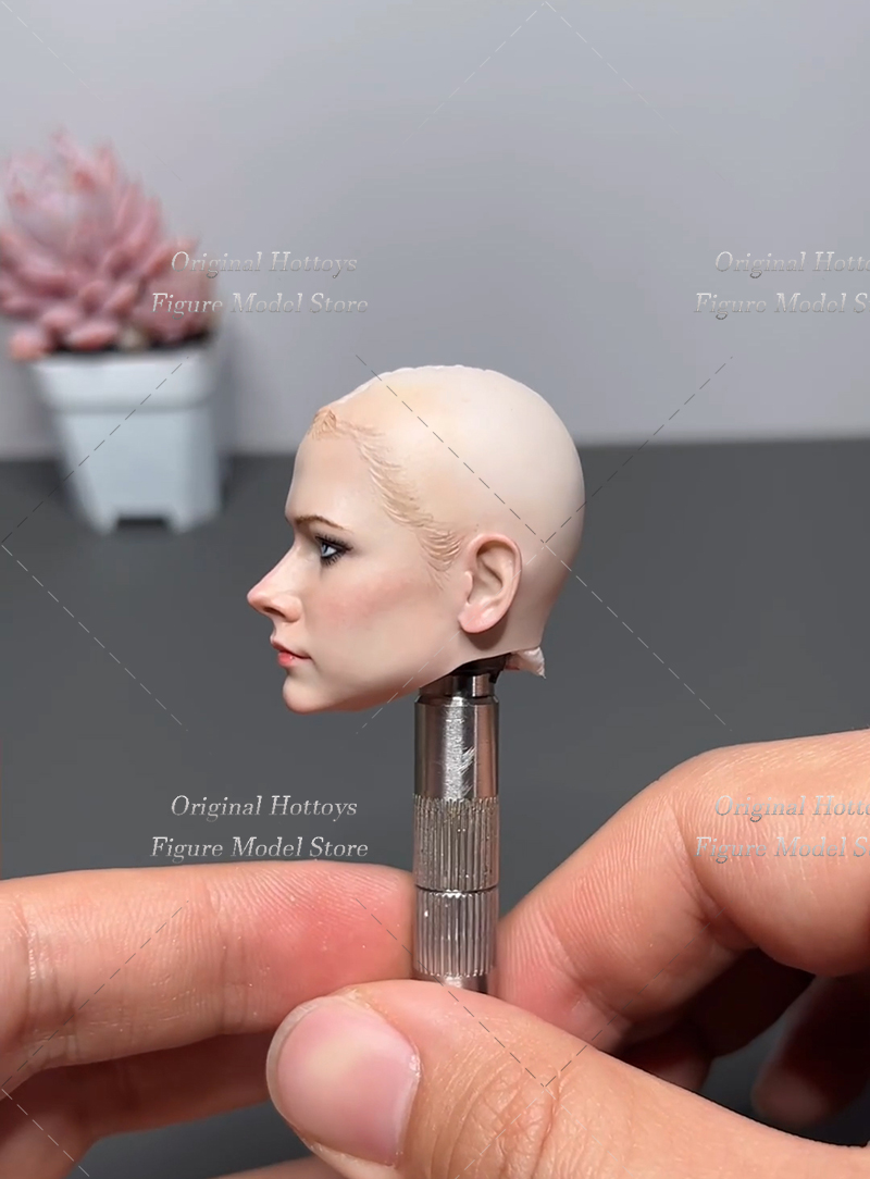 1/6 Scale Female Soldier Head  - Beauty Makeup Edit reseña y precio